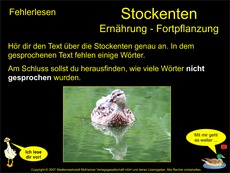 3-Fehlerlesen-Stockente-Ernährung-Fortpflanzung.pdf